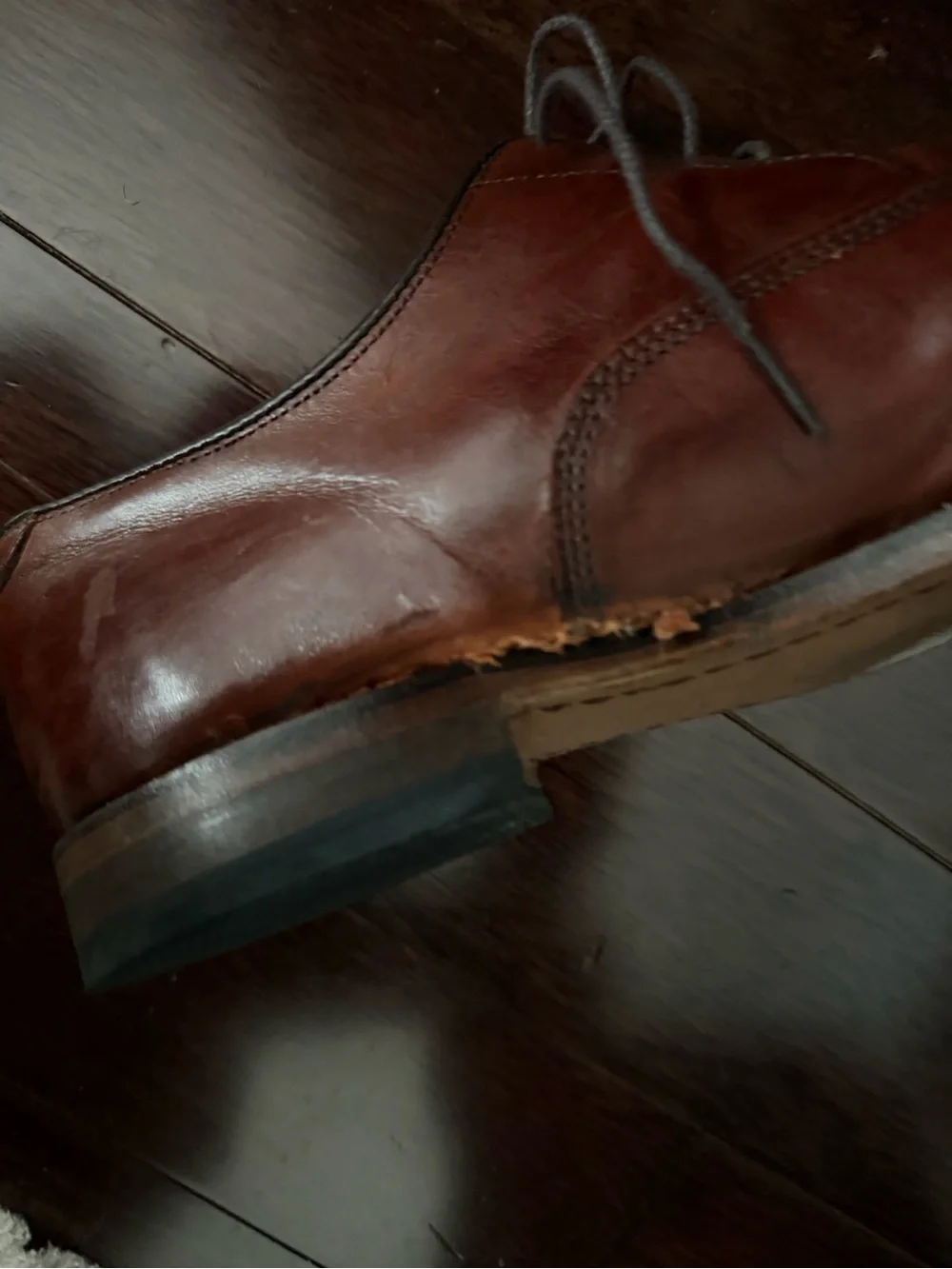 Allen Edmonds classic brown